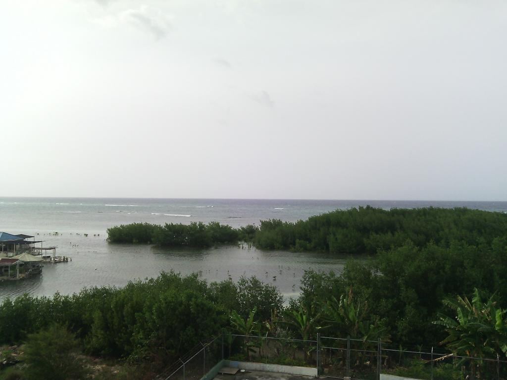 Hotel Tropik Leadonna Montego Bay Exterior foto